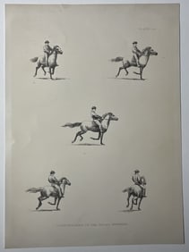 EADWEARD MUYBRIDGE 'HORSE IN MOTION' COLLOTYPE
