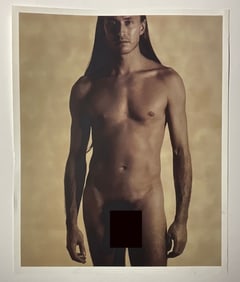 KARL LAGERFELD 'MARC NEWSON' SATIN UMBER PHOTO