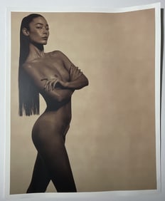 KARL LAGERFELD 'CECILA DEAN' SATIN UMBER PHOTO