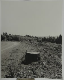 ROBERT ADAMS 'TURNING BACK' PHOTO LITHO