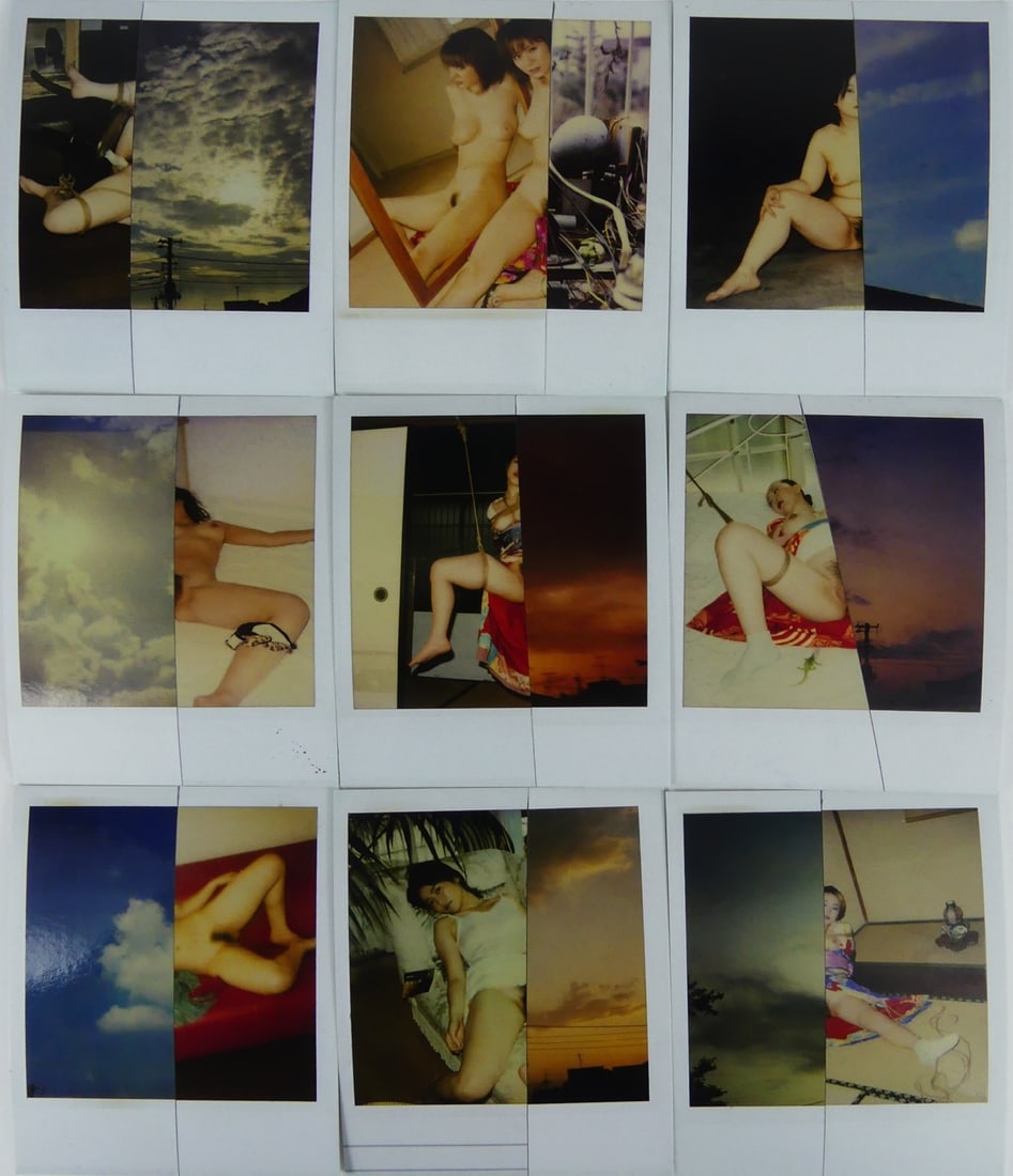 9pc NOBUYOSHI ARAKI POLAROID PRINTS (1 of 11)