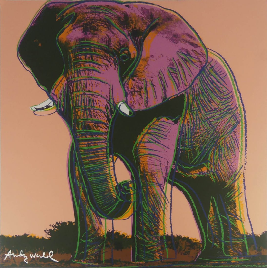 ANDY WARHOL 'AFRICAN ELEPHANT' LITHOGRAPH: Andy Warhol 'African Elephant' from Endangered Species. Signed in the plate lower left. Numbered 801/2400 lower right. Holds CMOA stamp to verso. Sheet measures 23 3/4" x 23 5/8".