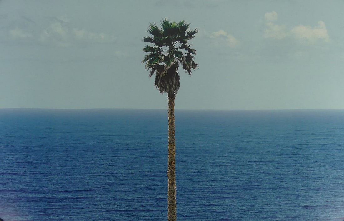 JOHN BALDESSARI 'PALM TREE SEASCAPE' OFFSET LITHO: John Baldessari 'Palm Tree / Seascape' offset lithograph. Sheet measures 25 1/2" x 16 3/4".