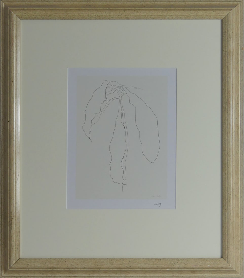 ELLSWORTH KELLY 'DRACENA II' SIGNED LITHOGRAPH: Ellsworth Kelly 'Dracena II' offset lithograph. Pencil signed lower right margin. Signed and numbered in the plate lower right image. Viewable measures 11" x 8 1/4". Frame measures 21 3/4" x 18 3/4" x