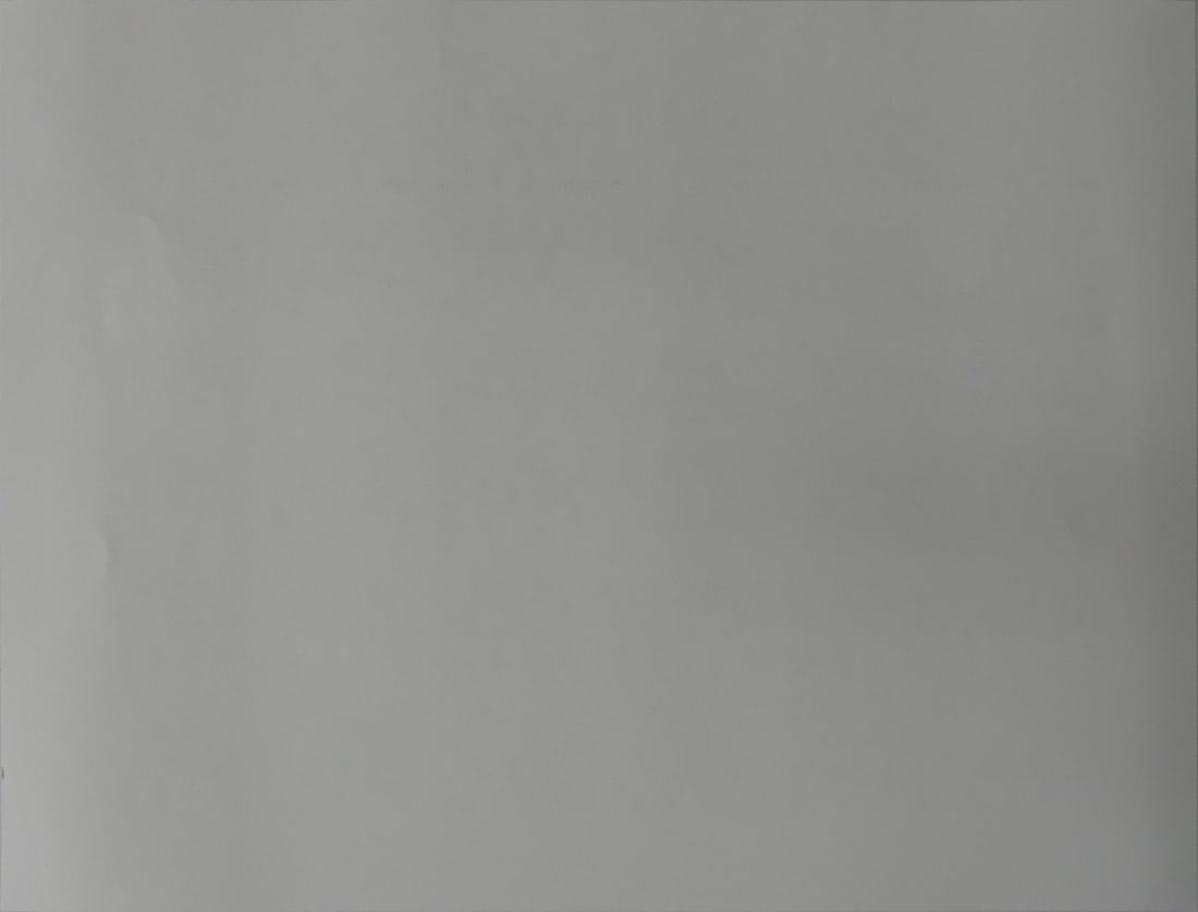 INVADER 'REPETITION VARIATION EVOLUTION' - 5