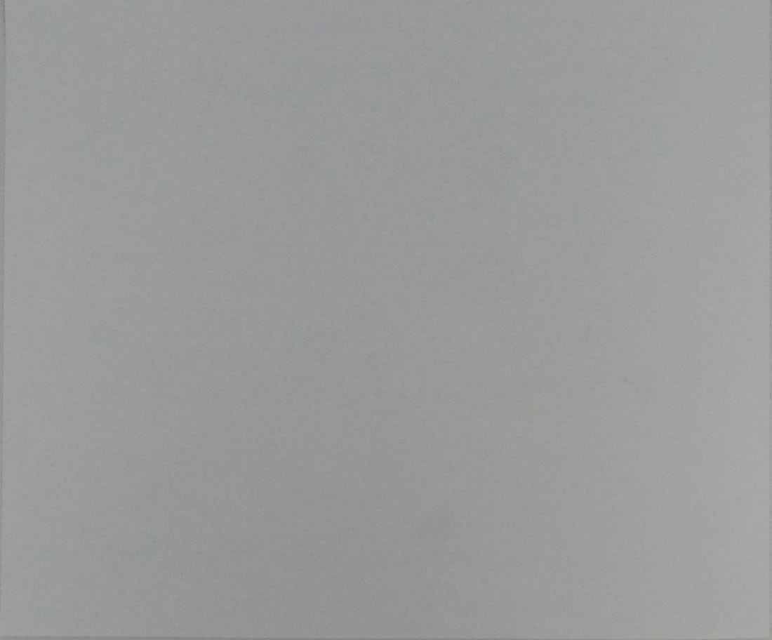 M.C. ESCHER 'RIPPLED SURFACE' OFFSET LITHOGRAPH - 7