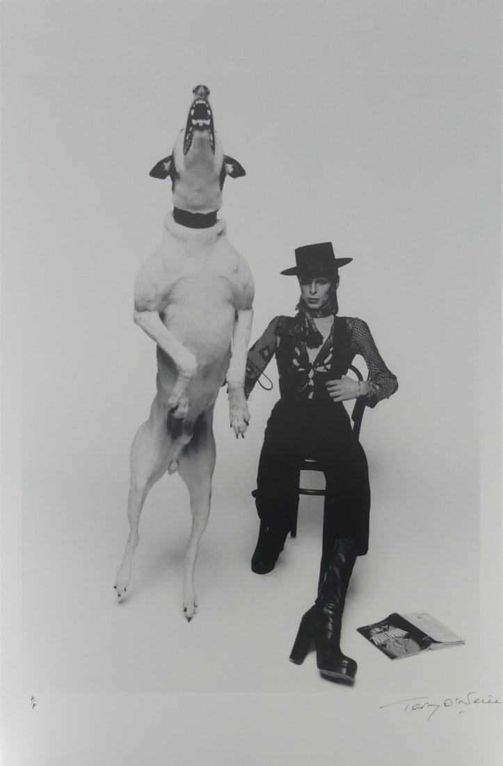 TERRY O'NEILL 'DAVID BOWIE, DIAMOND DOGS': Terry O'Neill 'David Bowie, Diamond Dogs, 1974' photo print. Signed in the plate lower right. Printed later. Sheet measures 30" x 20".