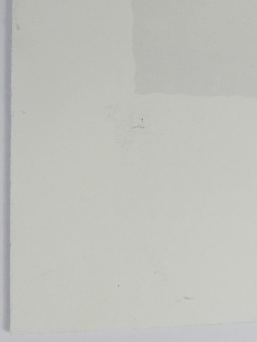 JASPER JOHNS 'TARGET' OFFSET - 5