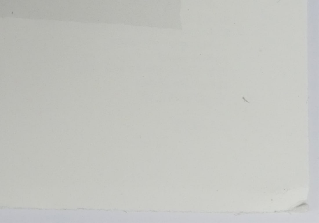 JASPER JOHNS 'TARGET' OFFSET - 6