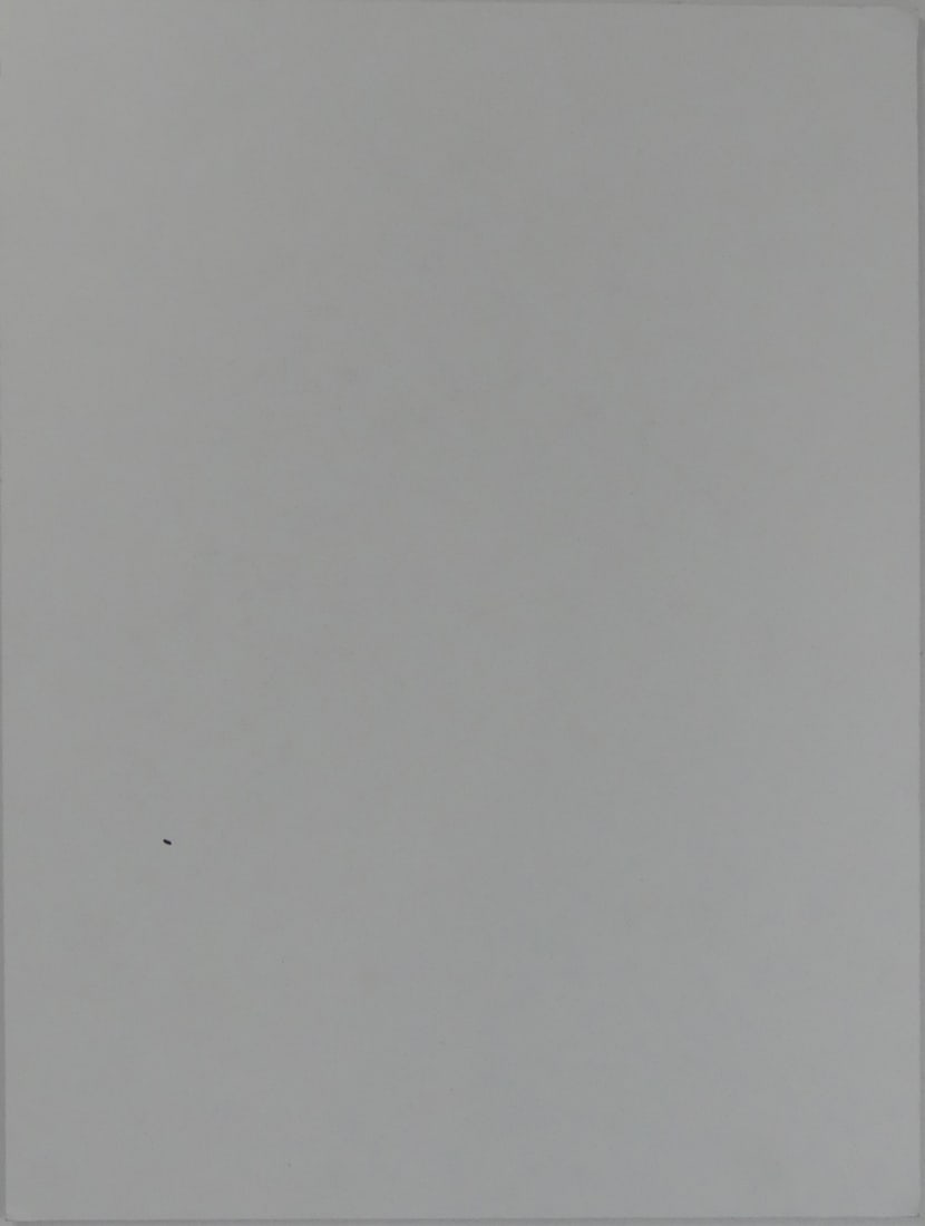 JASPER JOHNS 'TARGET' OFFSET - 7