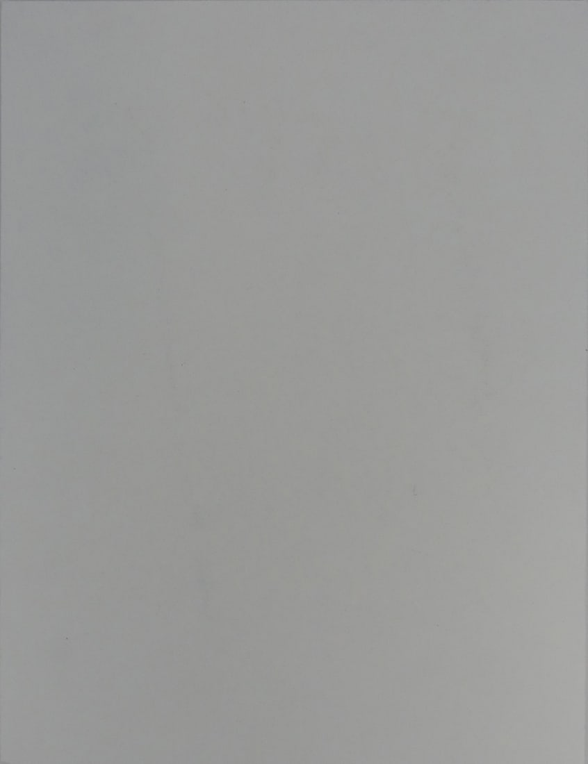 JASPER JOHNS 'DECOY' OFFSET - 5