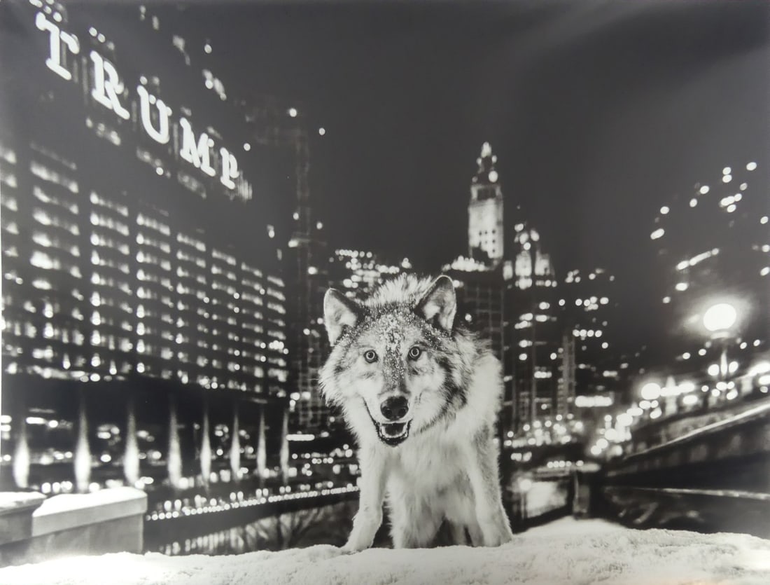 DAVID YARROW 'IT IS ONLY A MATTER OF TIME' (1 of 4)