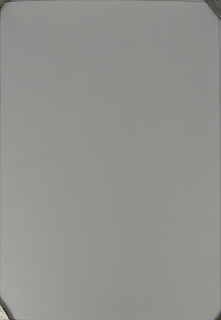 CHRISTOPHER WOOL 'PRANKSTER' OFFSET LITHOGRAPH - 4