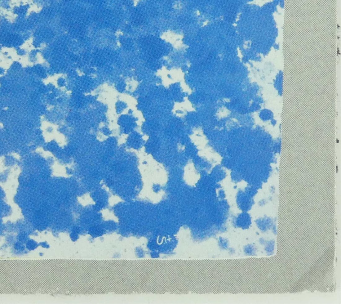 DAVID HOCKNEY 'PAPER POOL' OFFSET LITHOGRAPH - 4