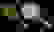 item-43741129=2