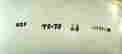 item-47019386=3