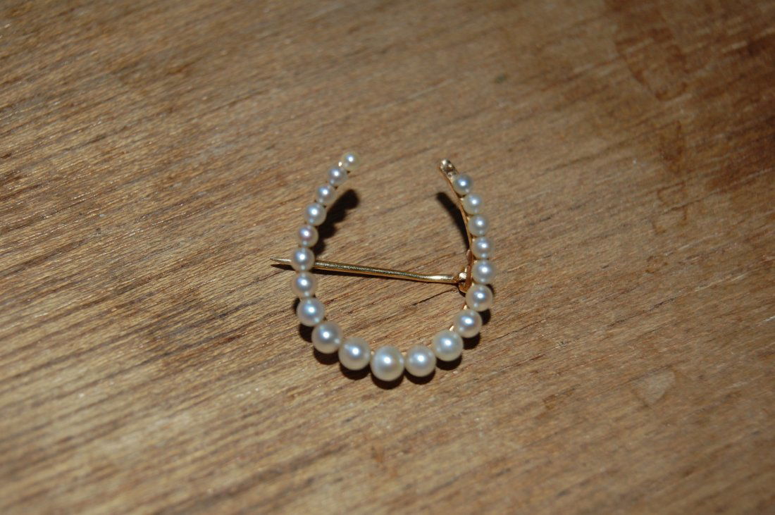 14kt Gold Good Luck Horse Shoe Pin (1 of 2)