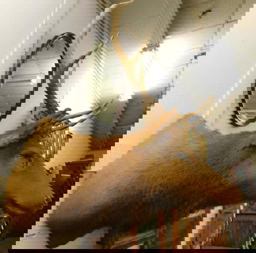 March 2024 Furniture Auction on Mar 15, 2024 by Warthers Originals