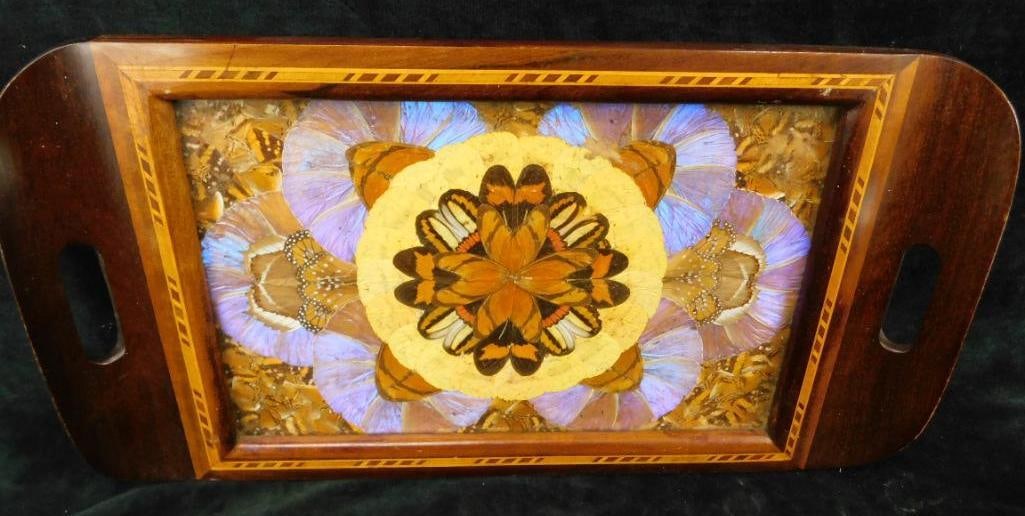 Vintage Butterfly Wing Art Inlaid Tray - Glass Top - 16.5" x 9.25" (1 of 10)