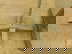 item-209034843=7