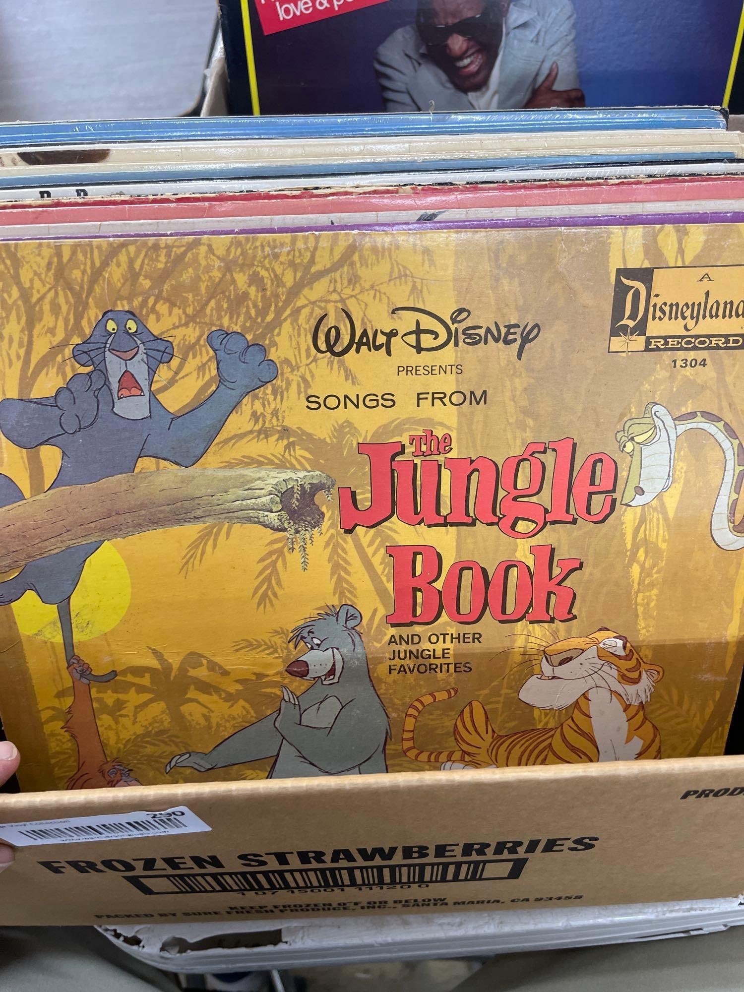 DISNEY & WILLIE NELSON ALBUMS LOT: CONDITION OF THESE ITEMS IS UNKNOWN AND VINYL HAS NOT BEEN CHECKED. PLEASE COME INSPECT BEFORE BIDDING OR ACCEPT ITEM AS IS