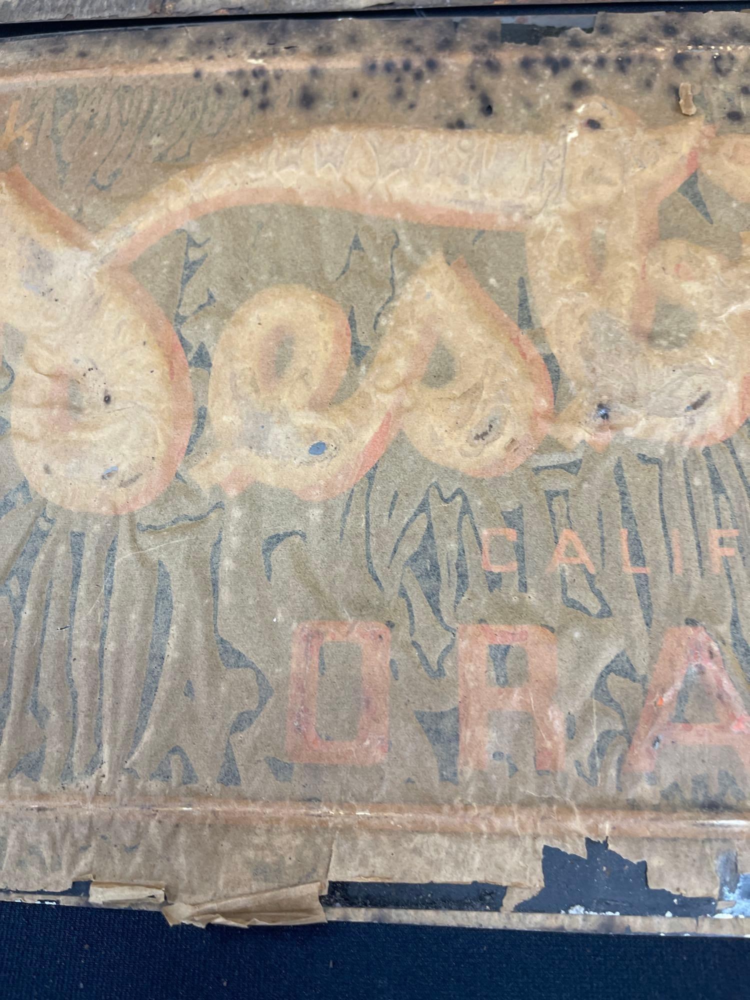 3 Nesbitts Orange Signs - 3