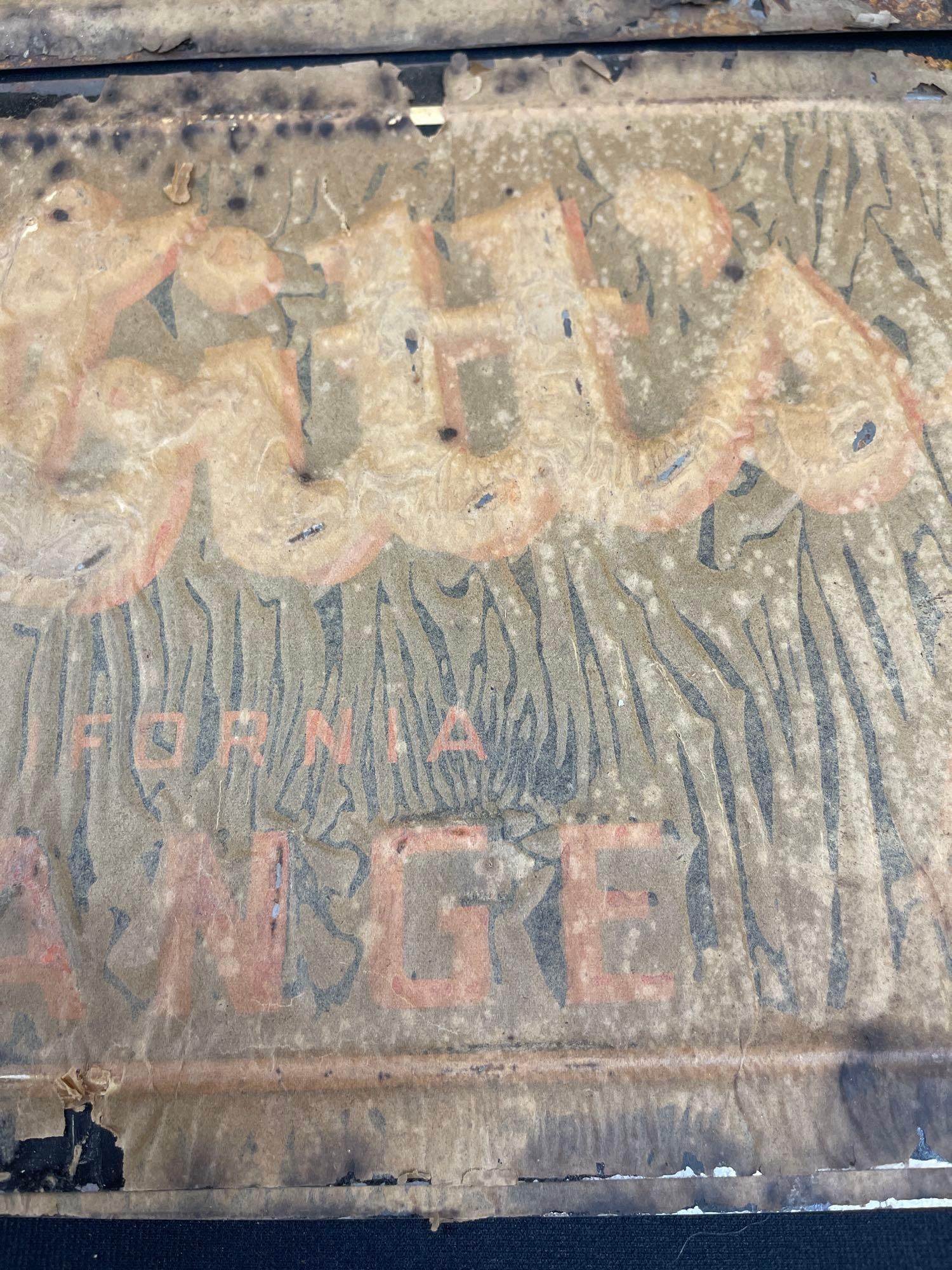 3 Nesbitts Orange Signs - 4