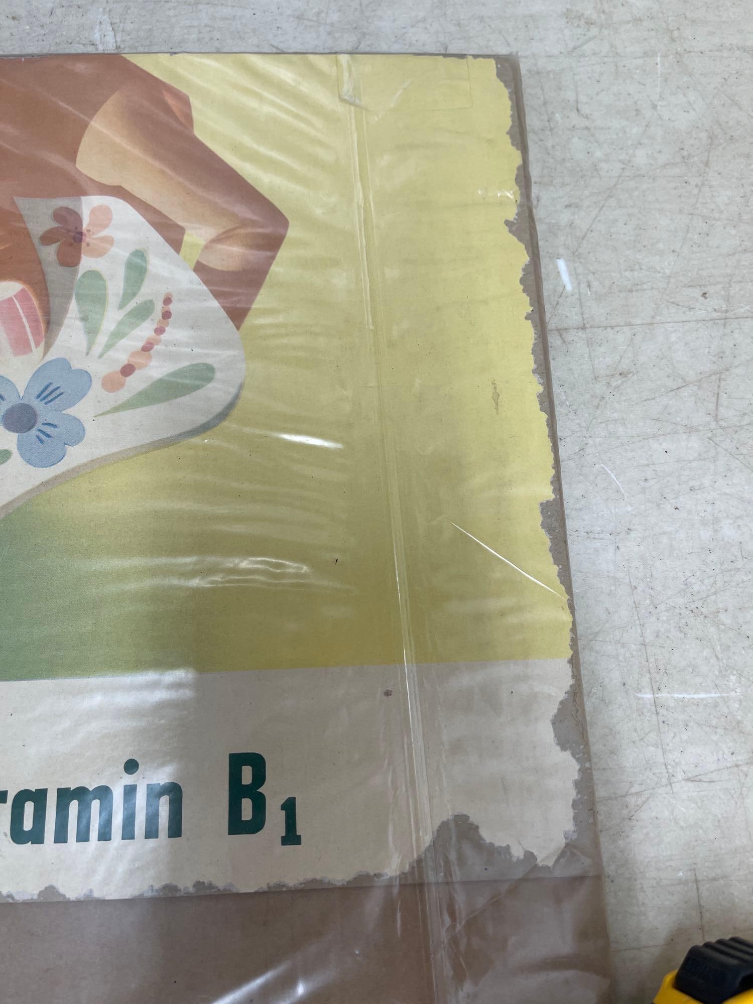 B1 Lemon Lime Soda - 5