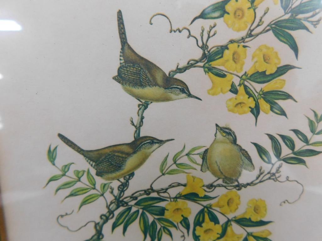 Anne Worsham Richardson - Hand Signed Print - 13" x 10.75" - 4