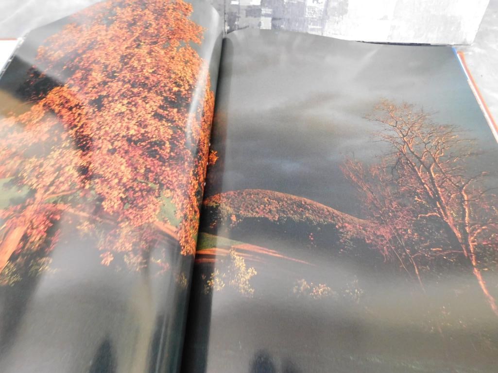 Limited Edition Leather Bound Book - brown and Bigelow - "America" - 8
