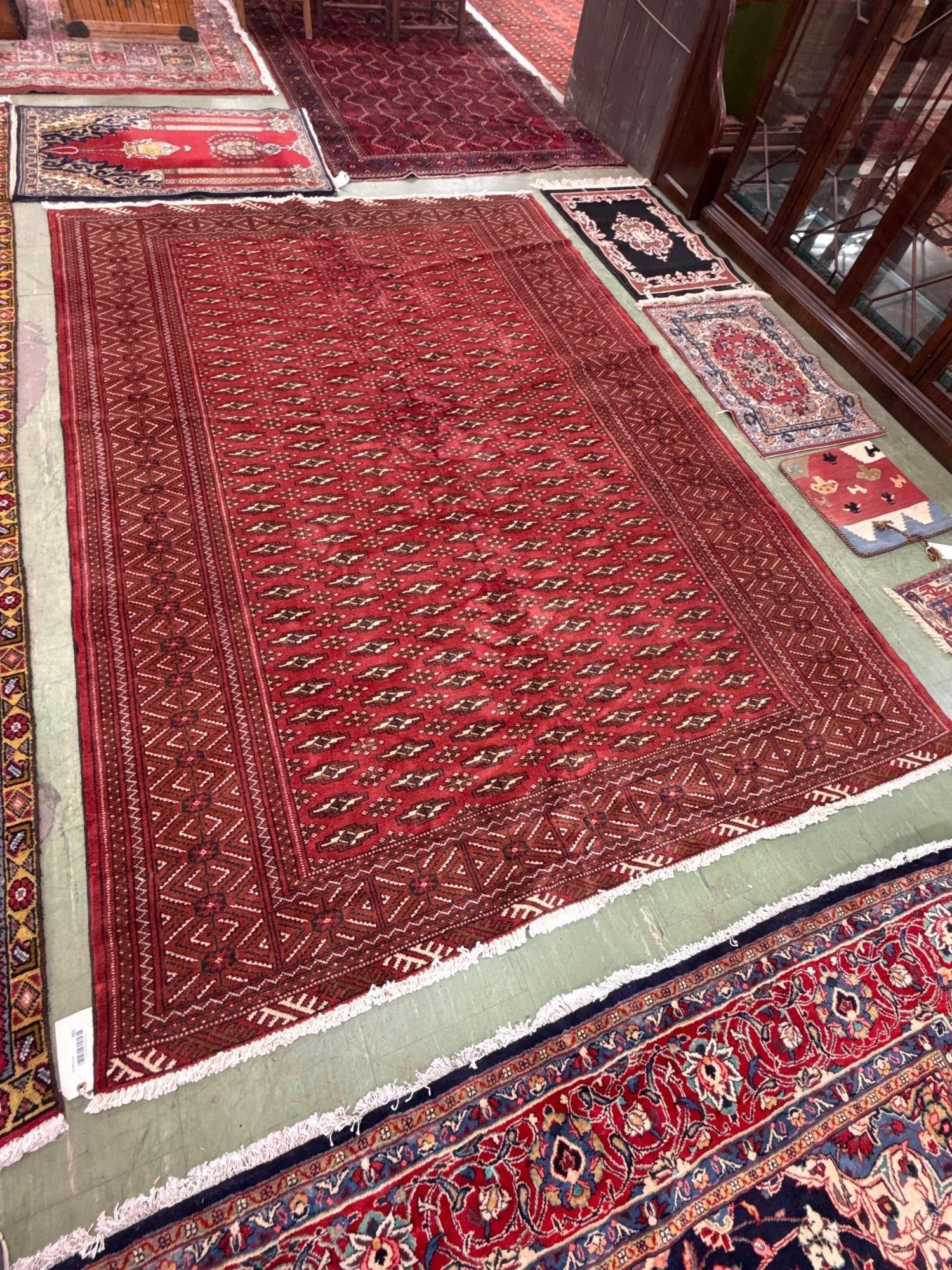 room size Bokhara rug 9'9" x 6'7" - 2