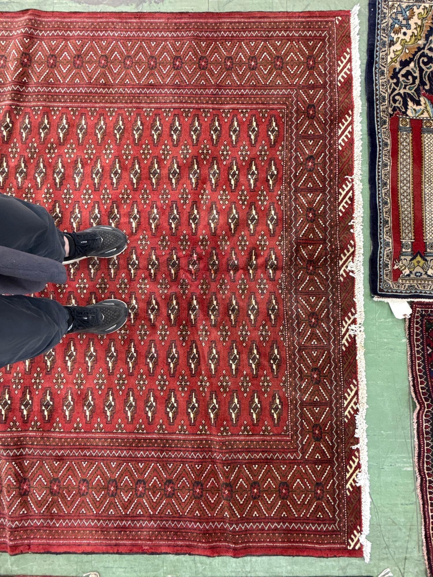 room size Bokhara rug 9'9" x 6'7" - 3