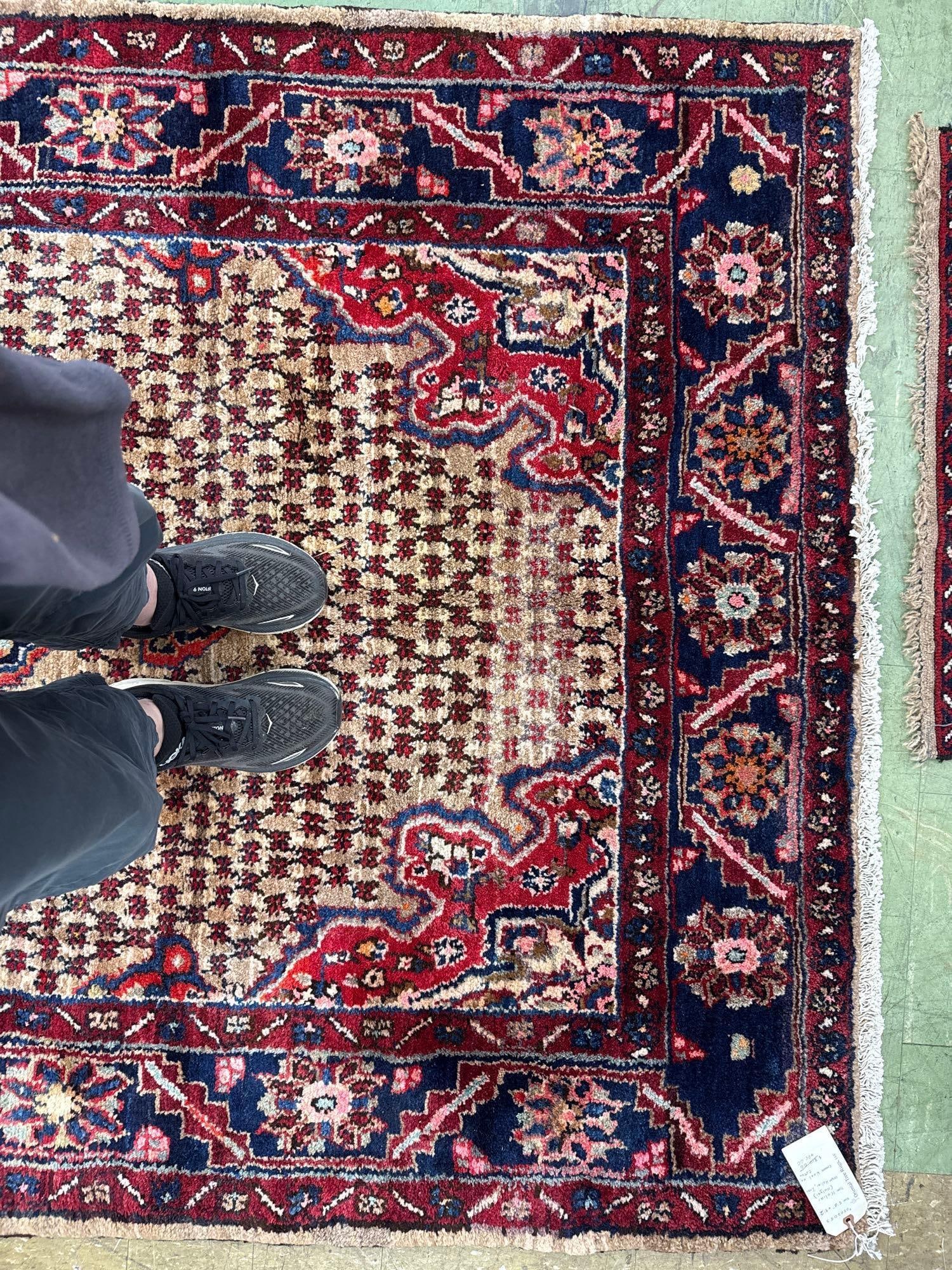 Area rug 5' x 9'2" - 6