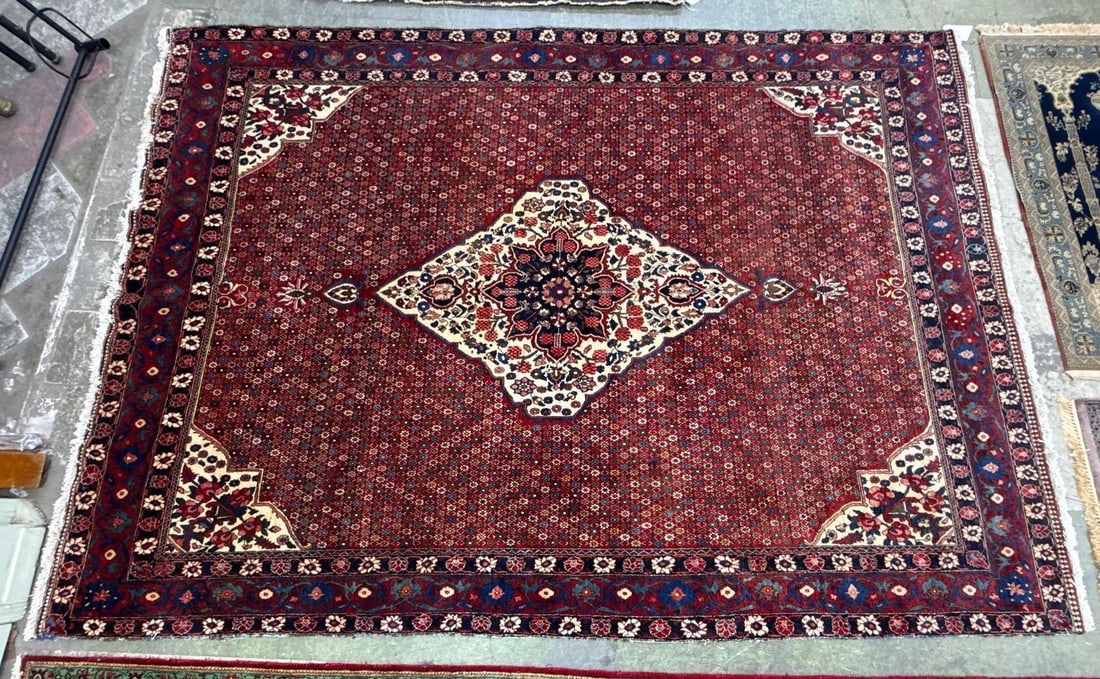 room size rug - 8'8" x 12': Wool on cotton made in Iran . BAHKTIARI