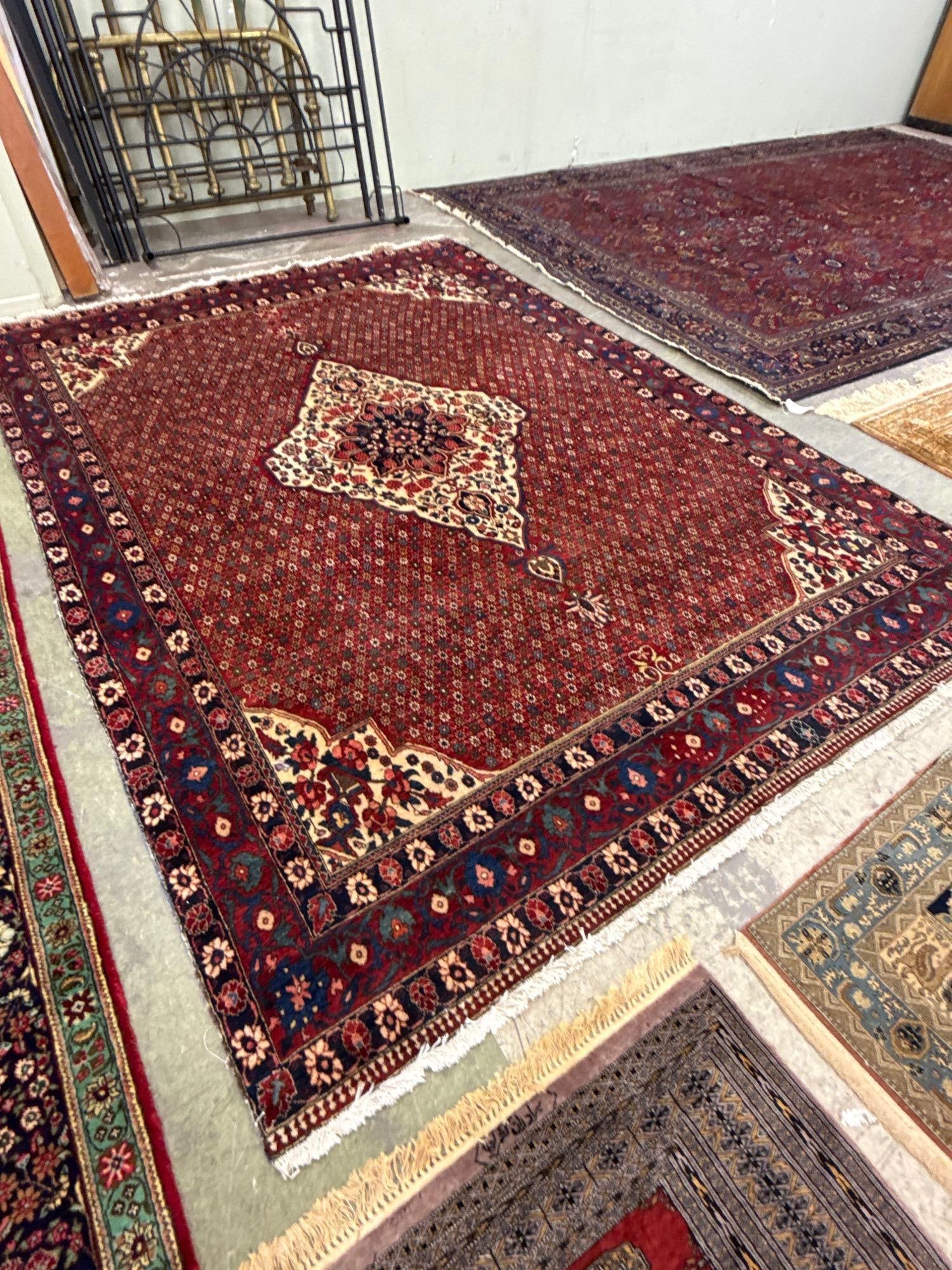 room size rug - 8'8" x 12' - 2