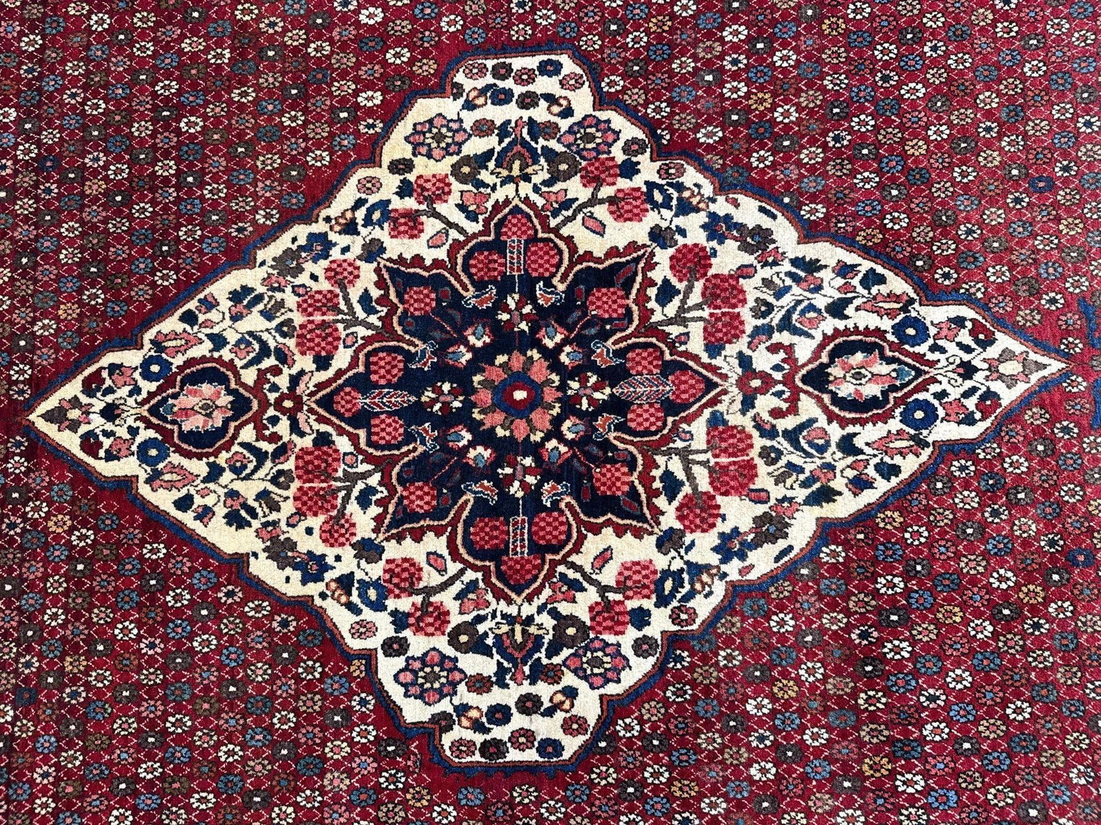 room size rug - 8'8" x 12' - 4