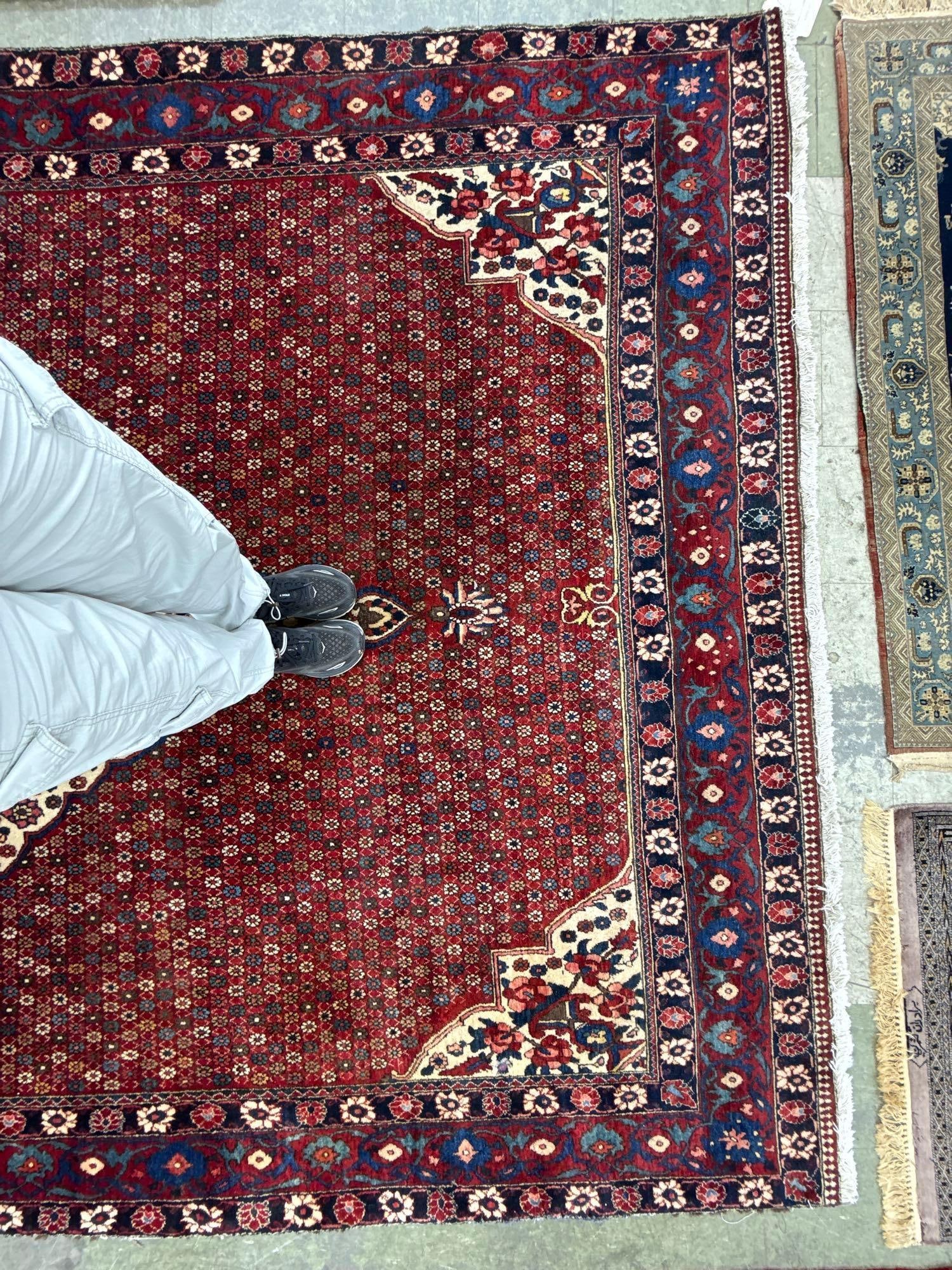 room size rug - 8'8" x 12' - 5