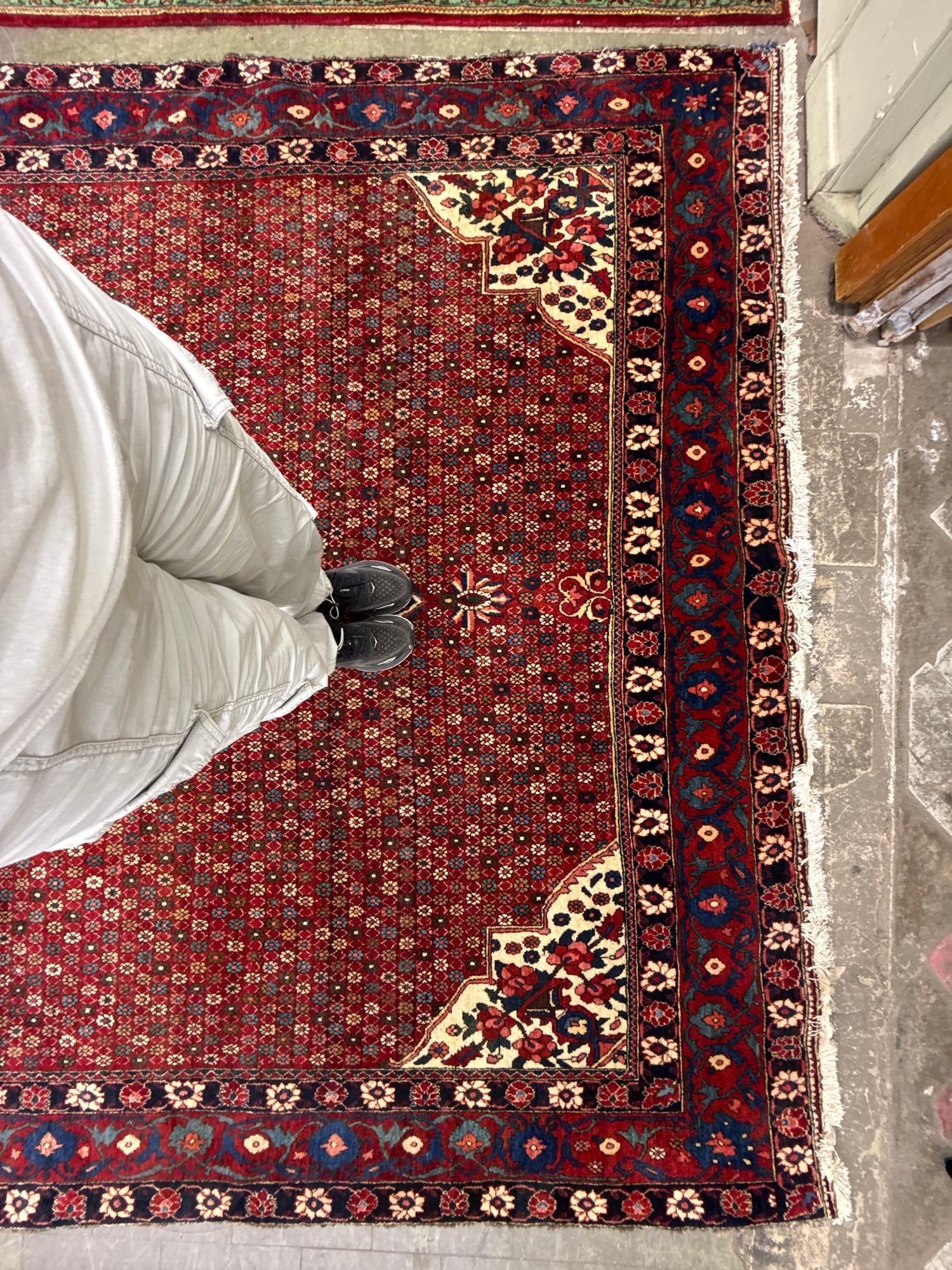 room size rug - 8'8" x 12' - 6