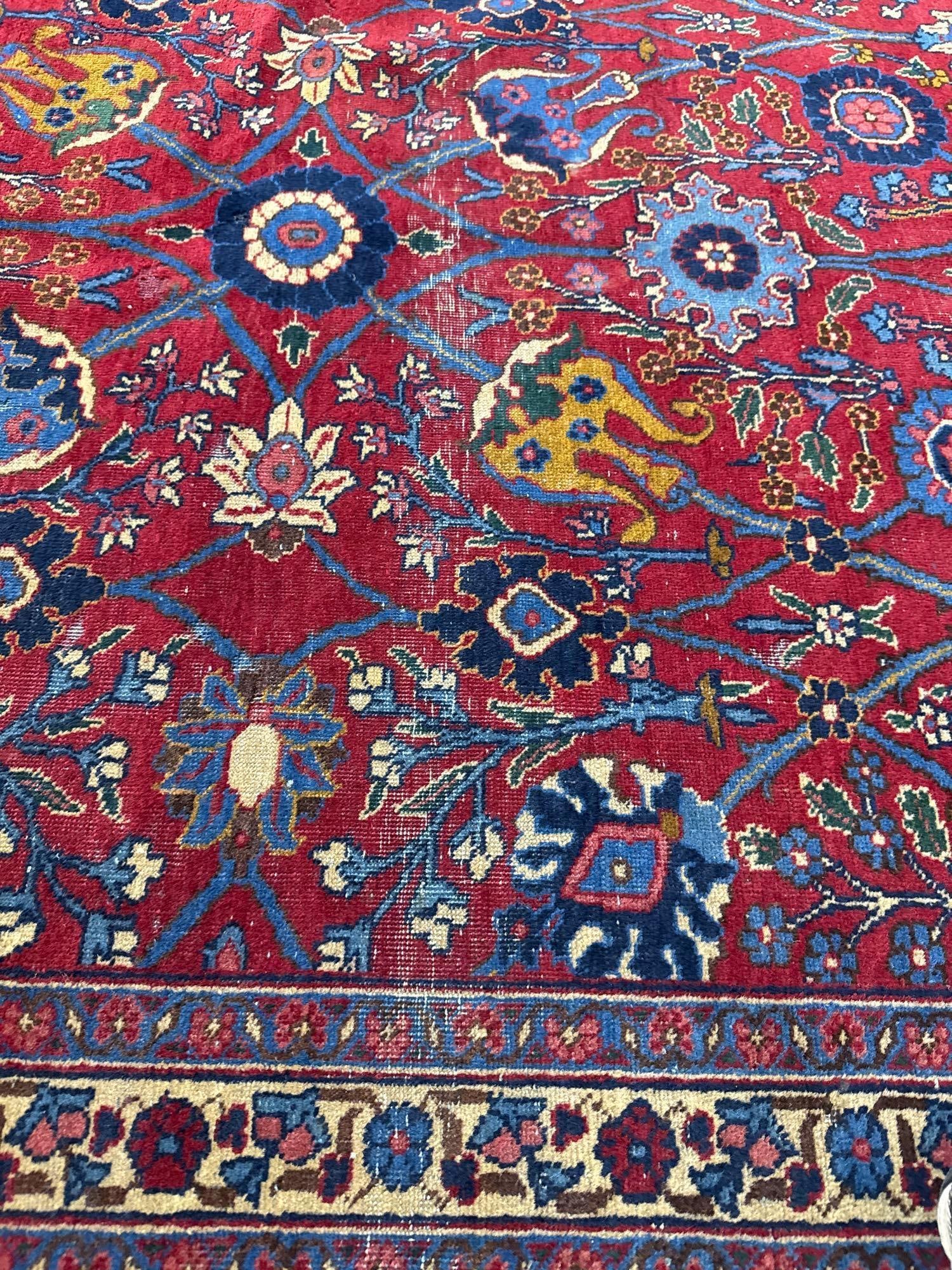 room size rug - 10'11" x 16'6" - 16