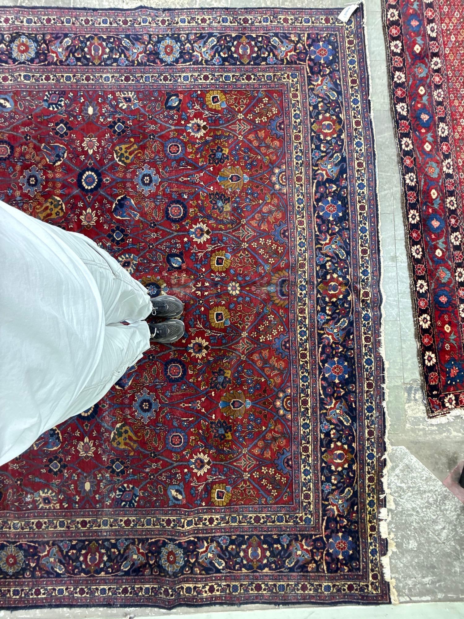 room size rug - 10'11" x 16'6" - 5