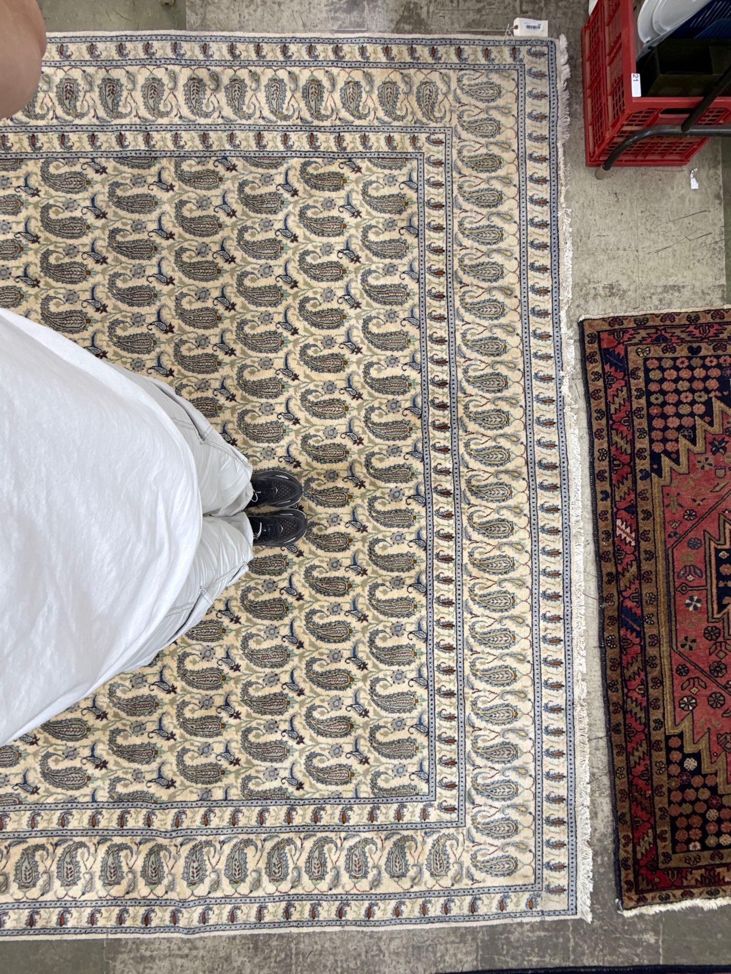 room size rug - 9'10" x 12'10" - 5