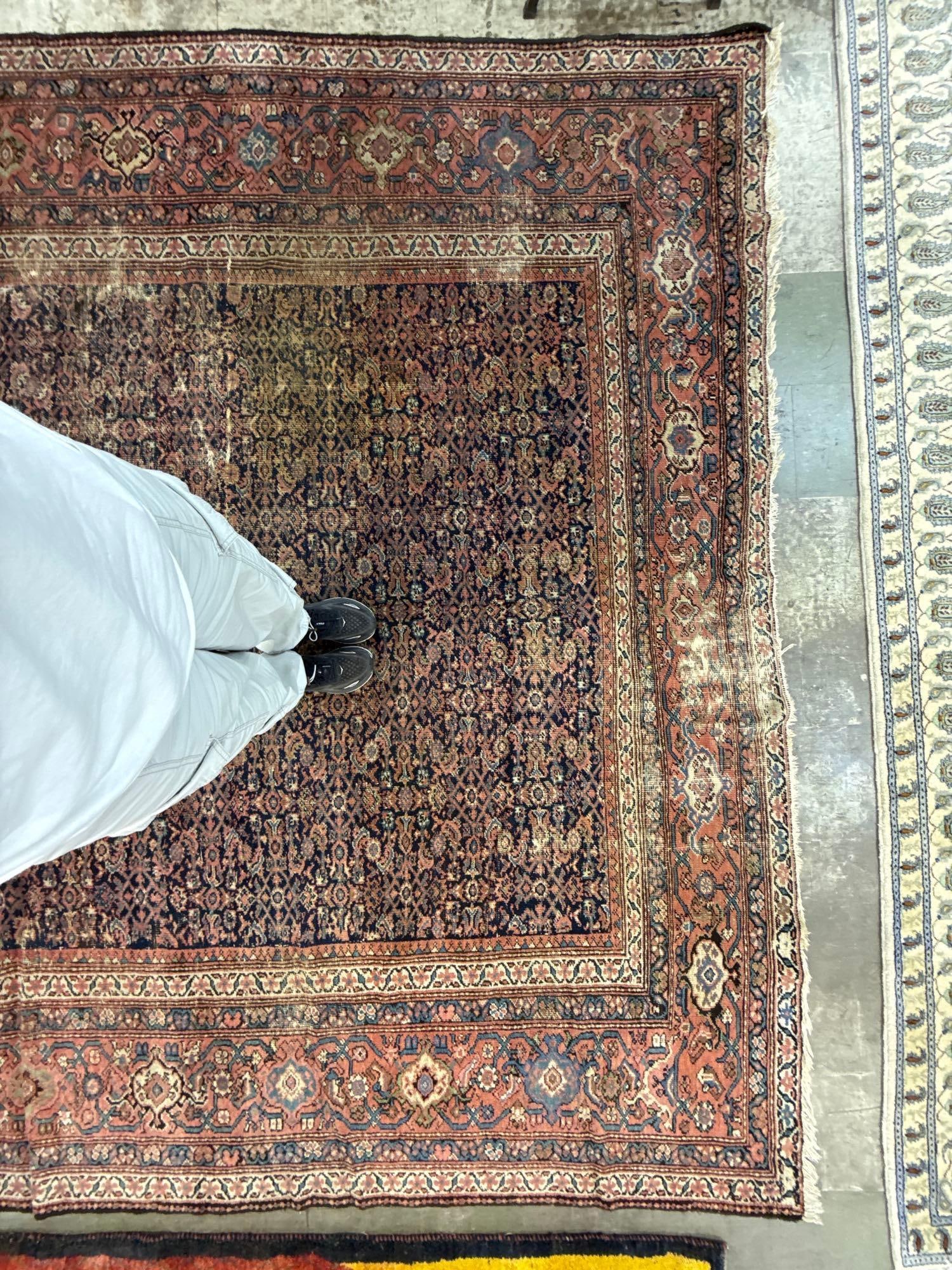 room size rug - 10'7" x 13'4" - 4