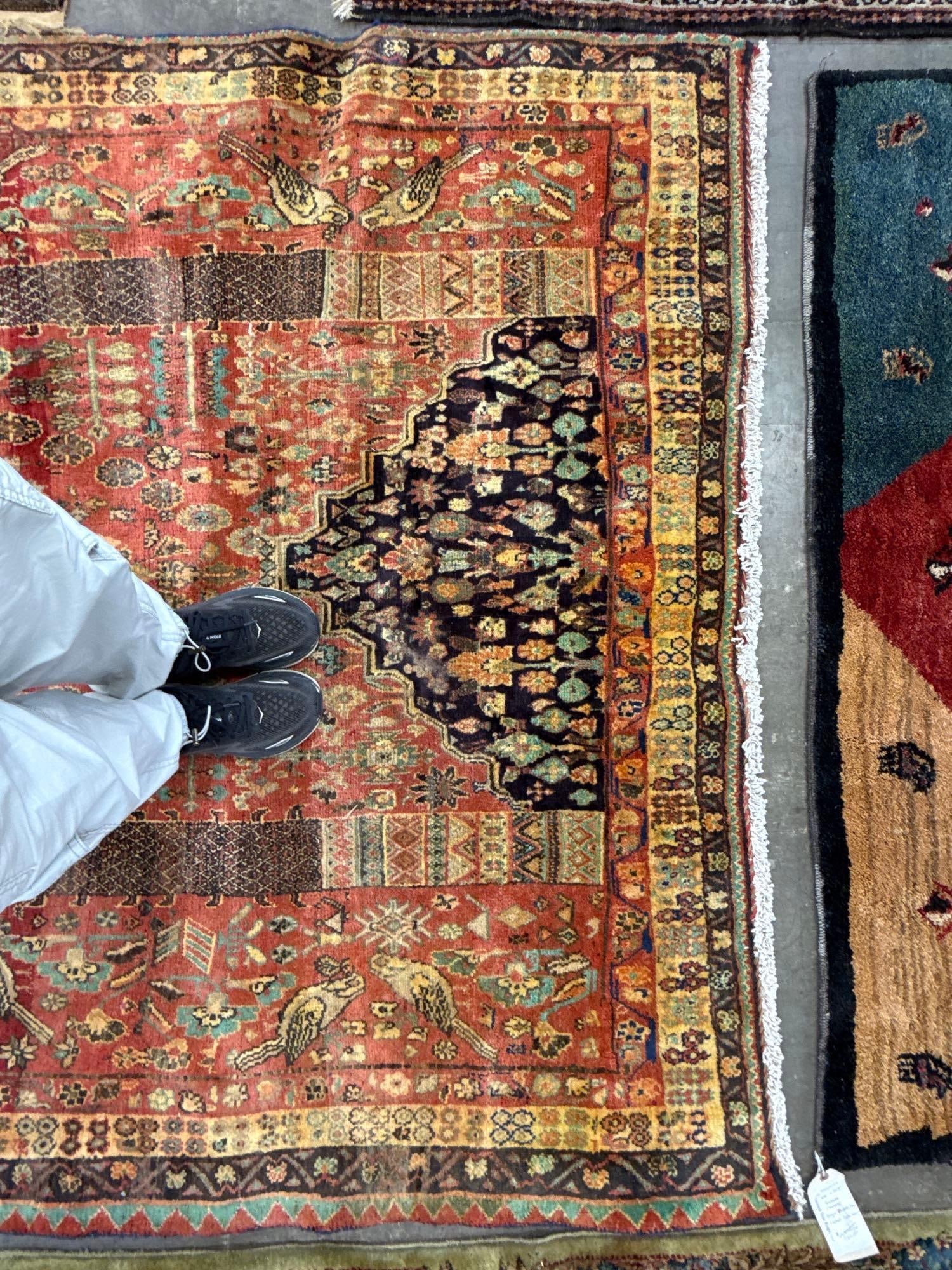 Area size rug - 5'9" x 8'3" - 5