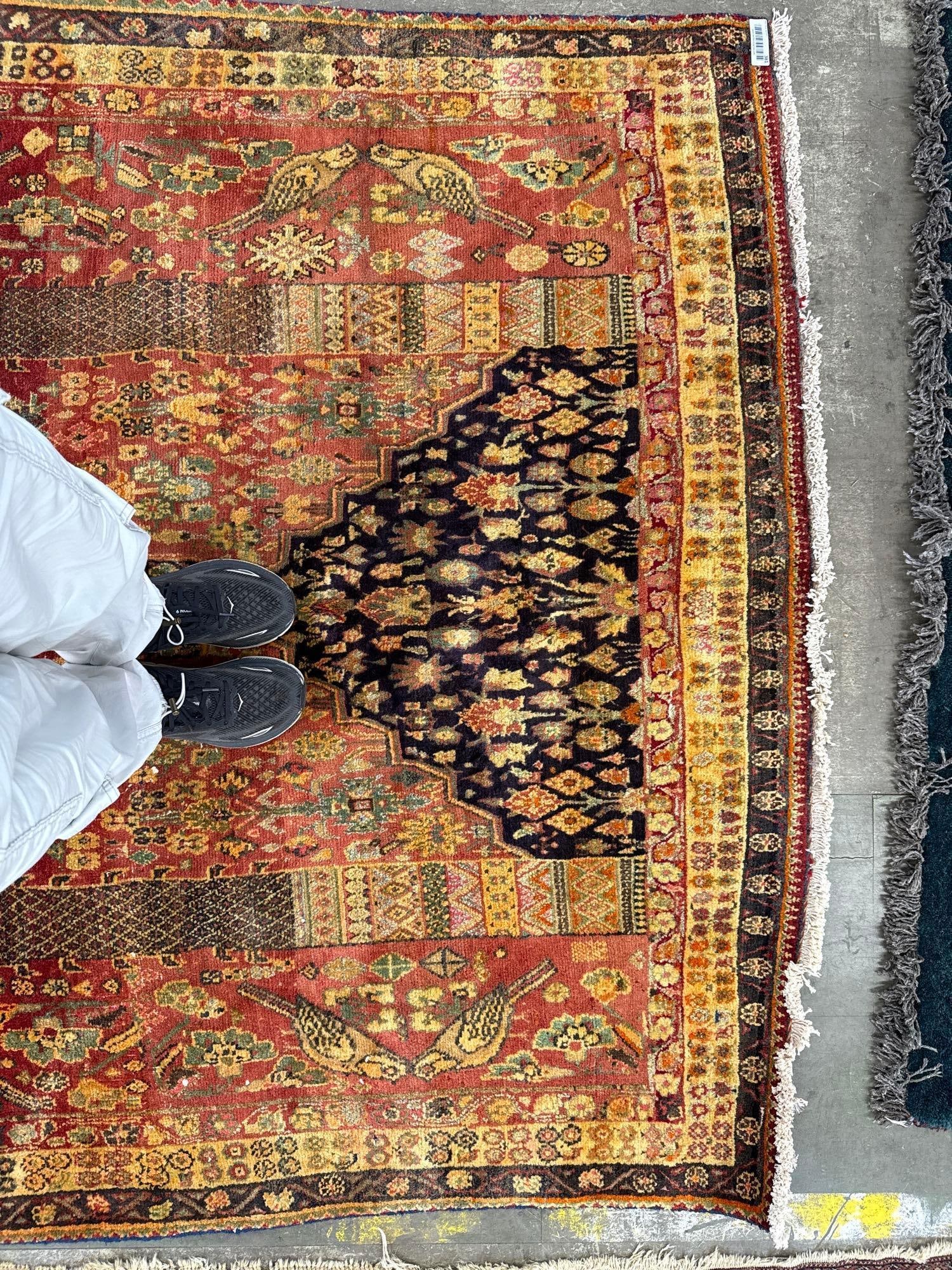 Area size rug - 5'9" x 8'3" - 6