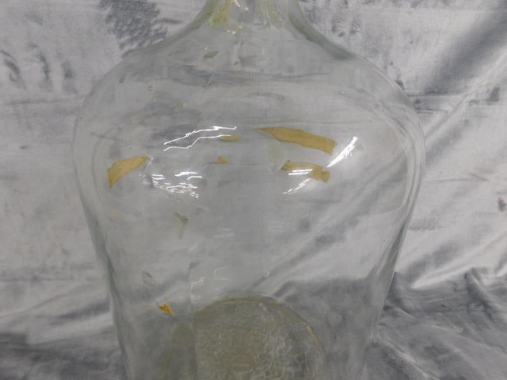 5 Gallon Glass Jug - 19.5" x 11" - 3
