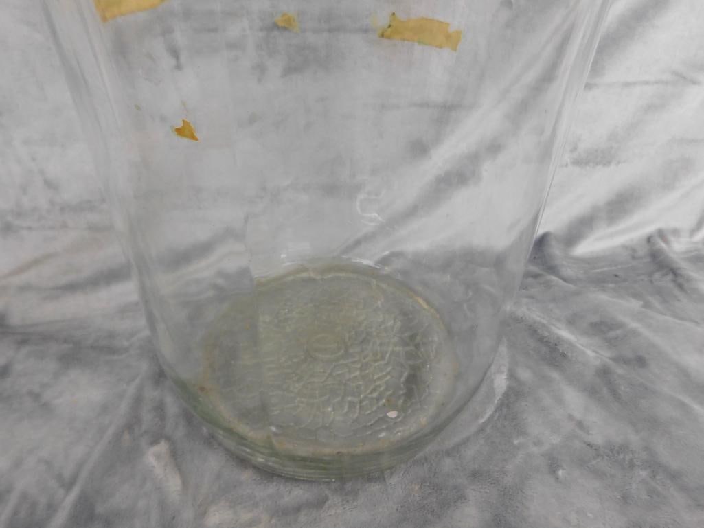 5 Gallon Glass Jug - 19.5" x 11" - 4