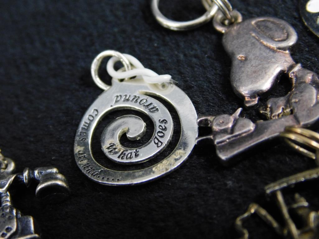 Sterling Silver - 12 Charms - 34.03 Grams TW - 5