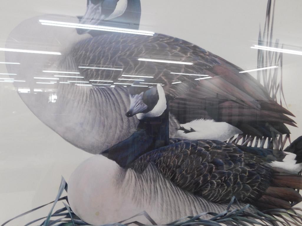 Art LaMay - Limited Edition Print - 240/1250 - Pair of Ducks - 32.5" x 38.5" - 3