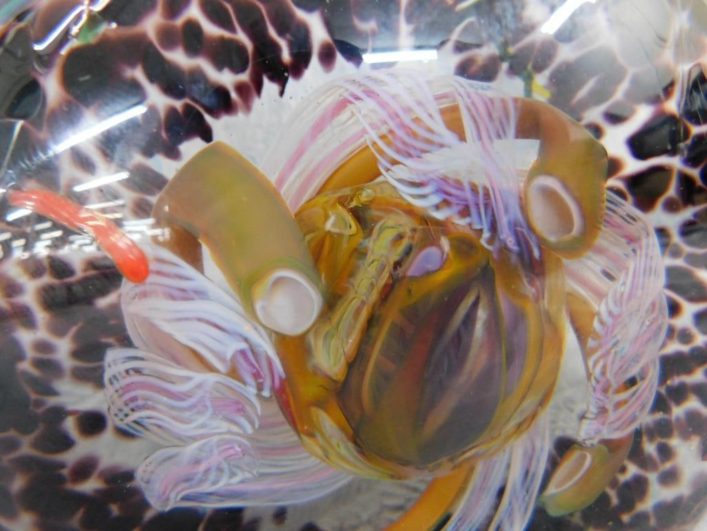 1995 Rick Beck Magnum Paperweight - Signed - 5.5" x 5.5" x 2.5" - 2