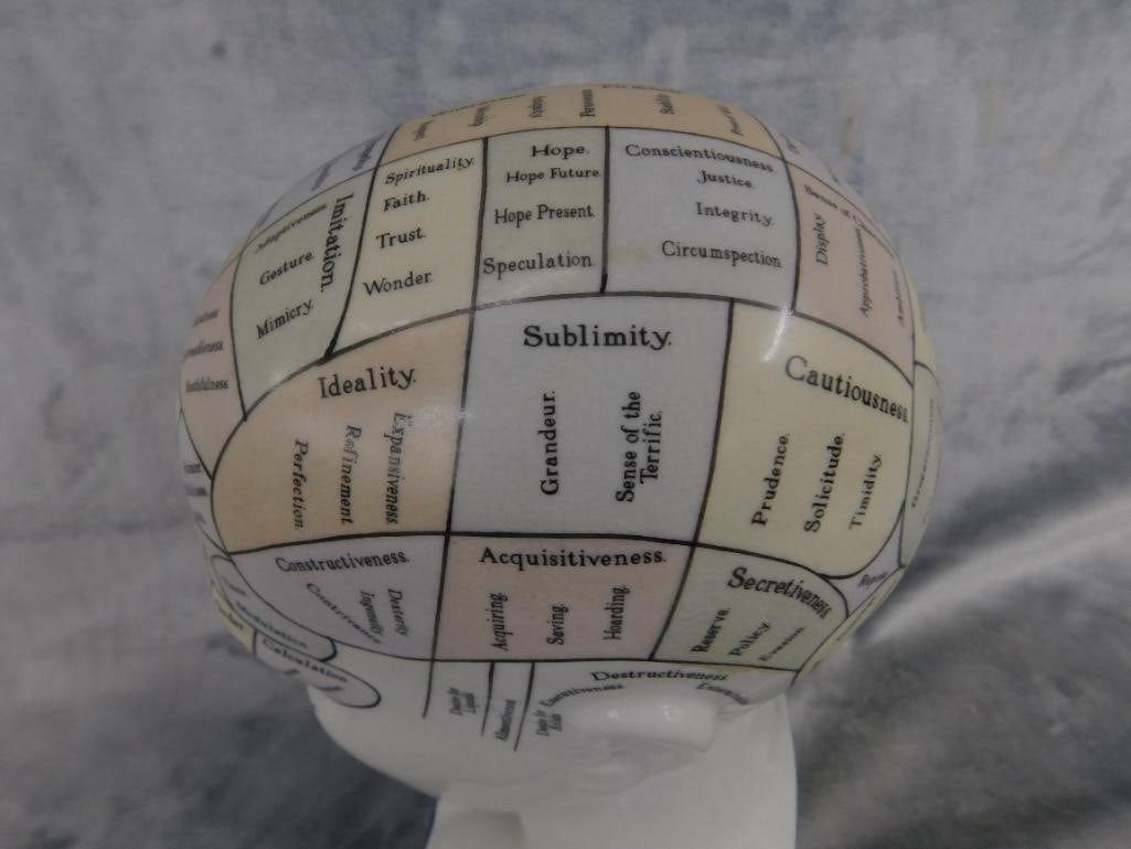 Phrenology Head / Bust - Color - By L.n. Fowler - 12" x 5.5" x 4.25" - 12